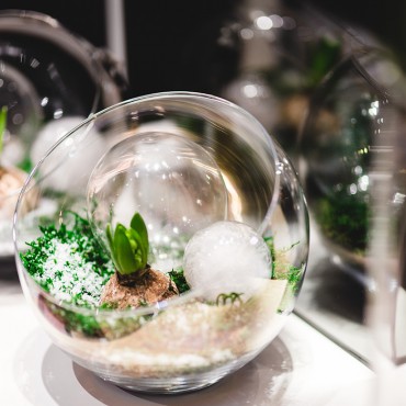 网页短信轰炸机